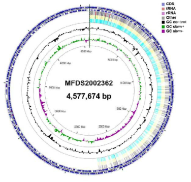 Cronobacter spp. 2002362 유전자 지도