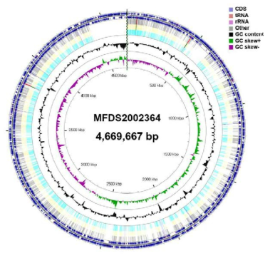 Cronobacter spp. 2002364 유전자 지도