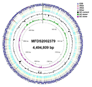 Cronobacter spp. 2002379 유전자 지도
