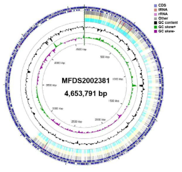 Cronobacter spp. 2002381 유전자 지도