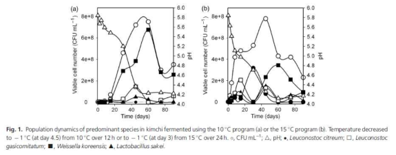김치 보관 기간과 온도에 따른 pH 및 유산균 변화 ※ 출처: FEMS Vol. 257 p. 262-267 (2006)
