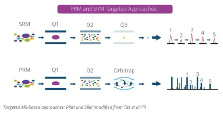 SRM과 PRM 분석 과정의 비교