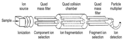 Schematic of a triple quadrupole mass spectrometer(Yost and Enke, 1979)