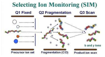 SIM(selected ion monitoring) 과정
