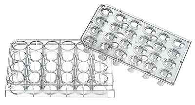 24-well transwell plate