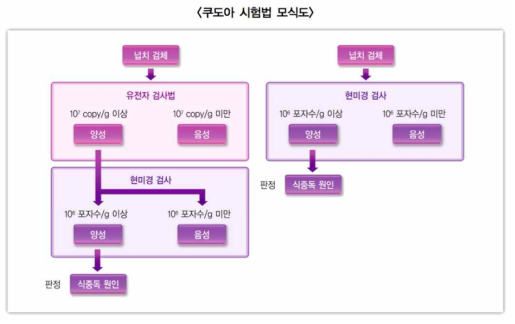 쿠도아 시험법 모식도(출처: 식중독 원인 조사법, 2015)