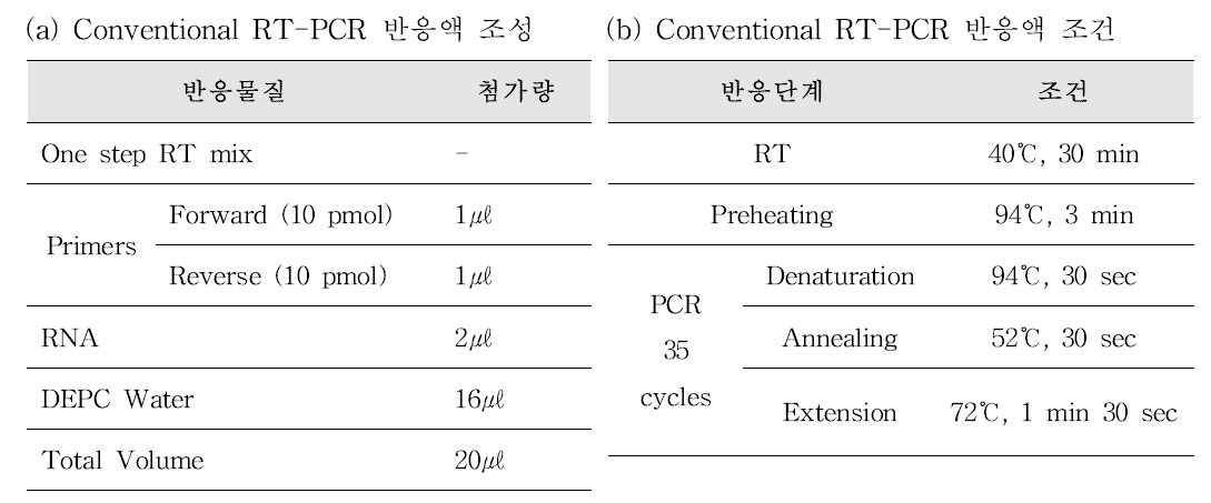 Astrovirus One step RT-PCR 반응액 조성(a) 및 PCR 반응 조건(b)