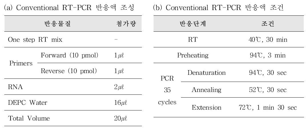 Astrovirus One-step RT-PCR 반응액 조성(a) 및 PCR 반응 조건(b)