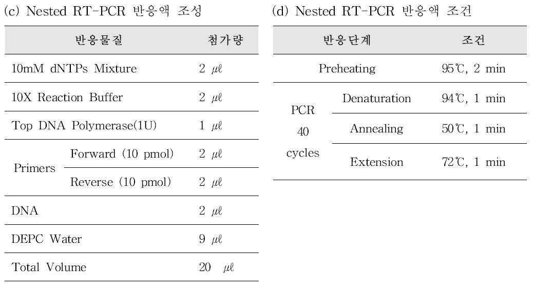 Astrovirus Semi-nested PCR 반응액 조성(c) 및 PCR 반응 조건(d)