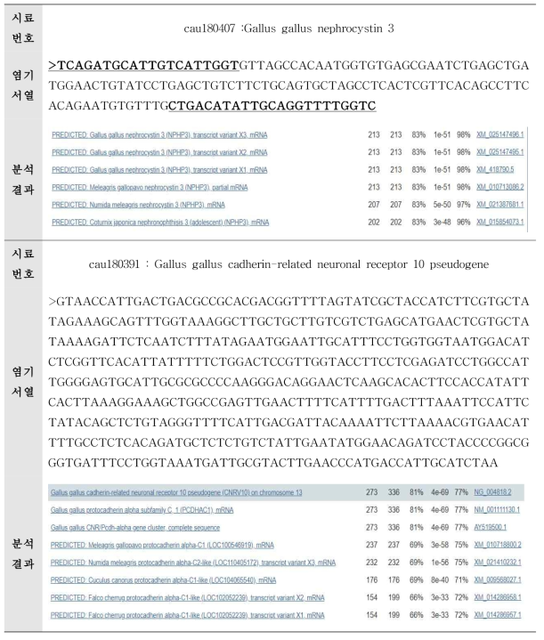 Astrovirus에 대한 sequencing analysis 결과