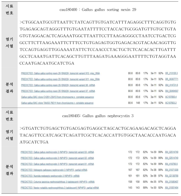 Astrovirus에 대한 sequencing analysis 결과(계속)