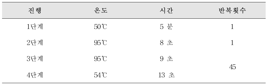 PCR 반응 조건