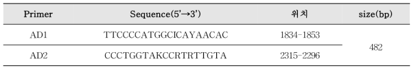 장관아데노바이러스 프라이머 염기서열