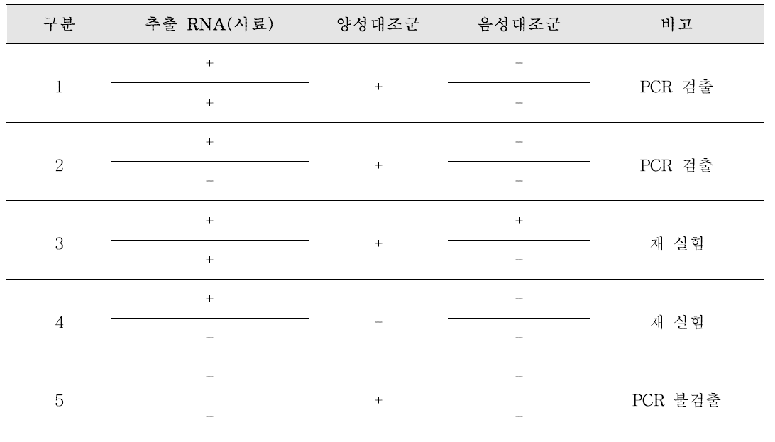 장관아데노바이러스 PCR 결과 확인