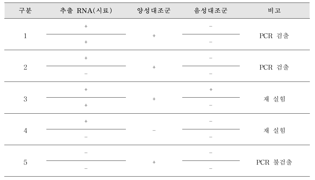 아스트로바이러스 PCR 결과 확인