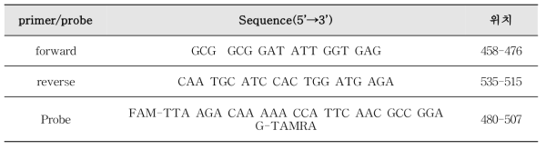 A형 간염바이러스 Real-time one-step RT-PCR 프라이머와 프로브의 염기서열