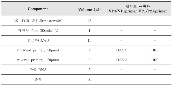 A형 간염바이러스 One-step RT-PCR 반응액 조성