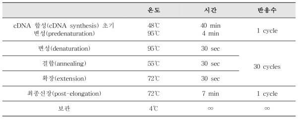 A형 간염바이러스 One-step RT-PCR 반응조건 및 온도