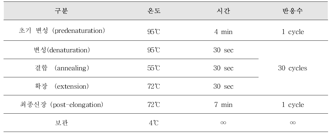 A형 간염바이러스 nested PCR 반응 조건 및 온도