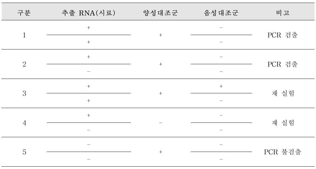 A형 간염바이러스 PCR 결과 확인