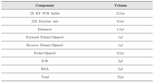 E형 간염바이러스 Real-time RT-PCR 조성