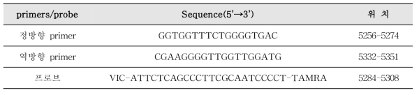 E형 간염바이러스 Real-time RT-PCR의 프라이머와 프로브의 염기서열