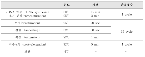 E형 간염바이러스 One-step RT-PCR 반응조건 및 온도