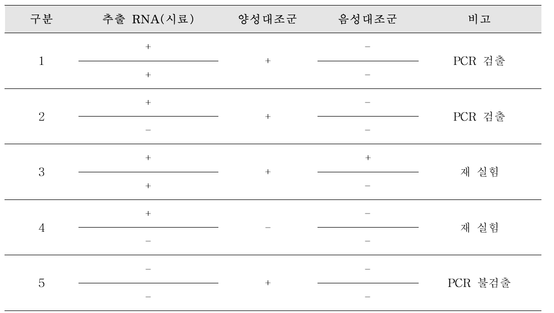 로타바이러스 PCR 결과 확인