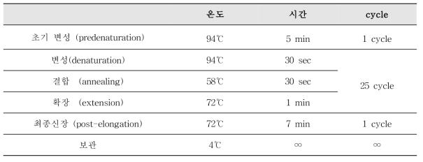 사포바이러스 PCR 반응조건 및 온도