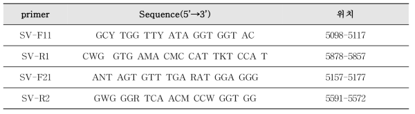 사포바이러스 프라이머 염기서열