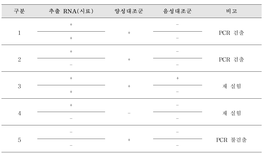 사포바이러스 PCR 결과 확인