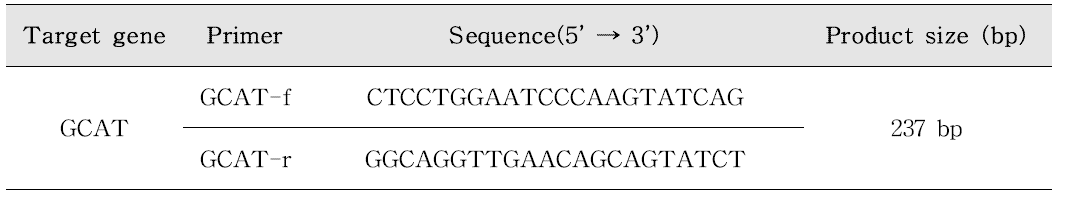 Aeromonas genus-specific PCR 프라이머 염기서열