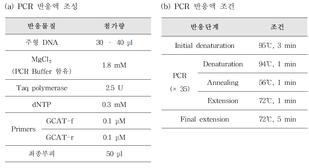 Aeromonas genus-specific PCR 반응액 조성(a) 및 PCR 반응 조건(b)