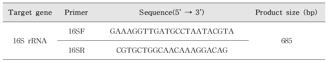 Aeromonas species-specific PCR 프라이머 염기서열