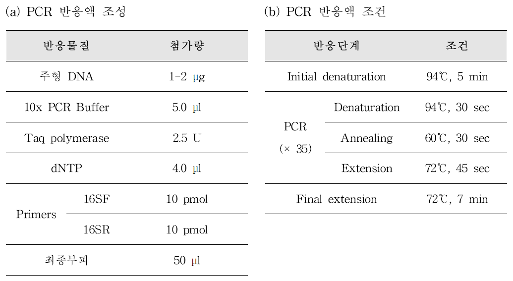 Aeromonas species-specific PCR 반응액 조성(a) 및 PCR 반응 조건(b)