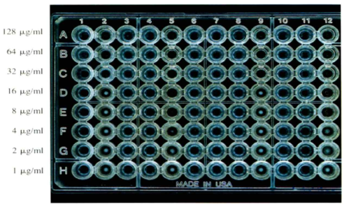 액체배지 미량희석법의 배양 결과(KCDC, 2012)