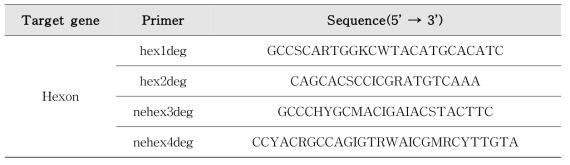 Adenovirus Nested PCR 프라이머, 프로브 염기서열