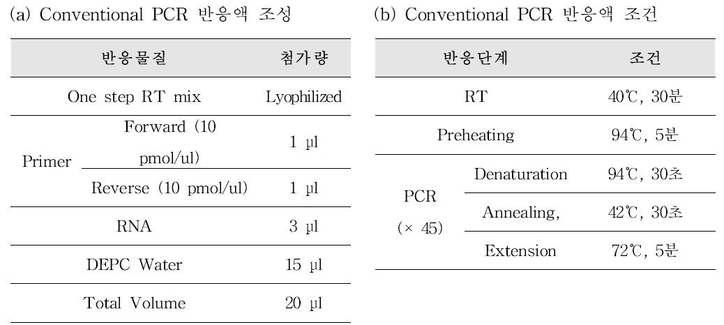 Aichivirus Conventional PCR 반응액 조성(a) 및 PCR 반응 조건(b)