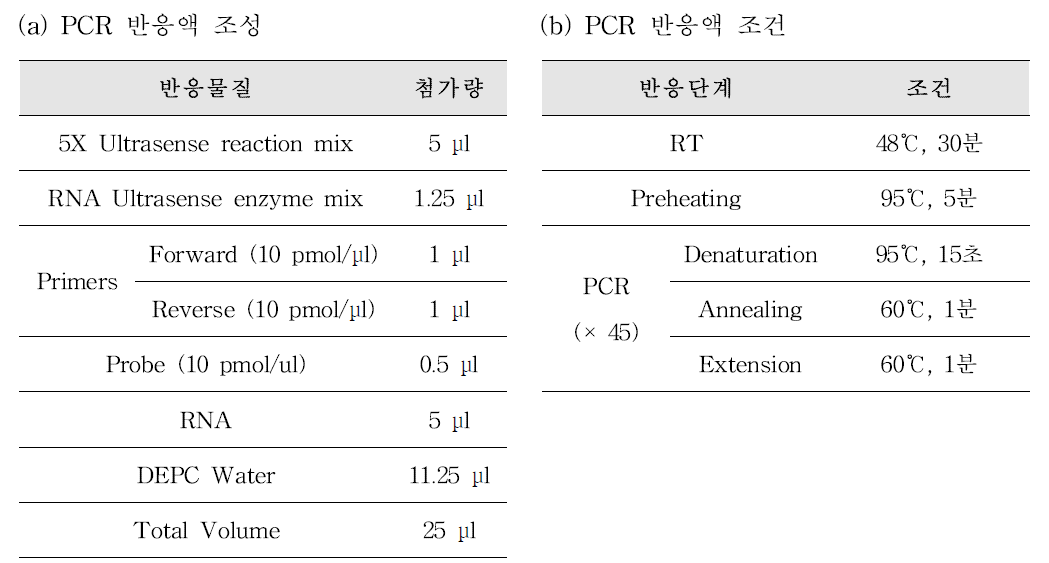 Enterovirus Real time RT-PCR 프라이머, 프로브 염기서열