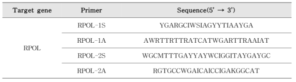 Enterovirus Nested RT-PCR 프라이머, 프로브 염기서열