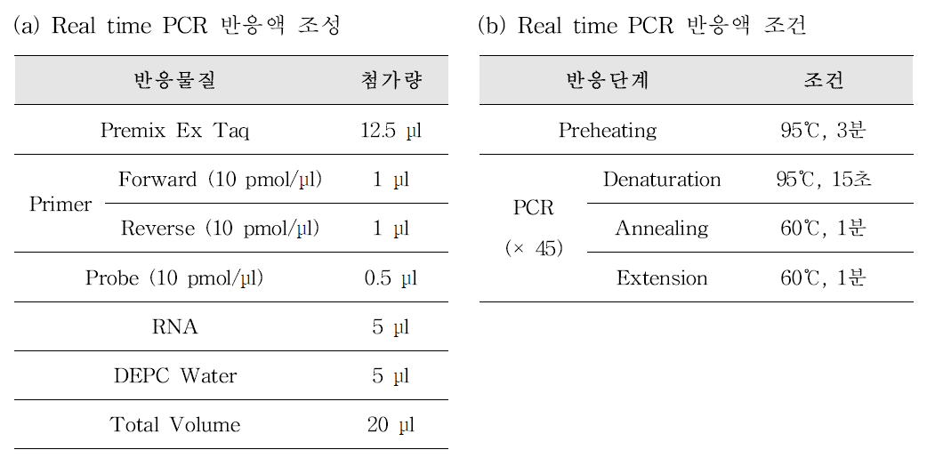 Parvovirus Real time PCR 반응액 조성(a) 및 PCR 반응 조건(b)