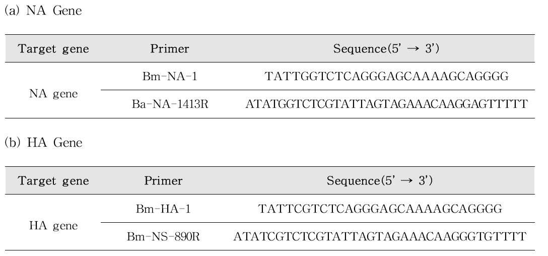 Influenza A virus Conventioanl RT-PCR 프라이머, 프로브 염기서열