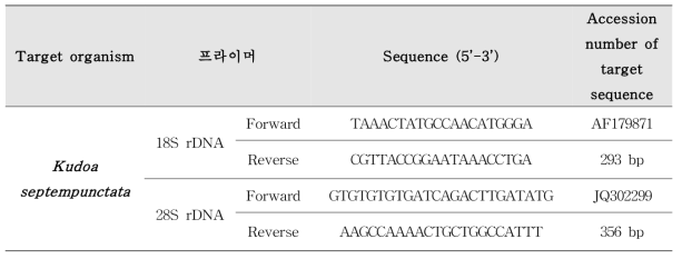 넙치에서 쿠도아충 탐색조사에 사용된 프라이머 정보