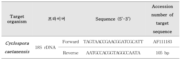 엽채류 및 베리류에서 원포자충 탐색조사에 사용된 프라이머 정보
