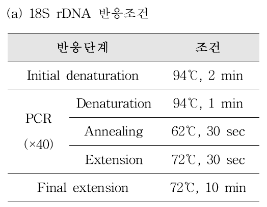 엽채류 및 베리류에서 원포자충 검출을 위한 conventional PCR 반응조건