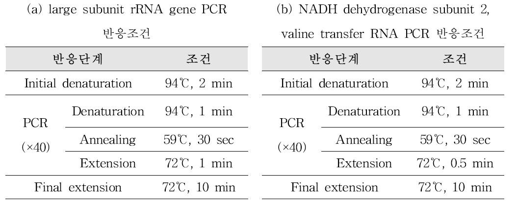 식육에서 유구조충 검출을 위한 conventional PCR 반응조건