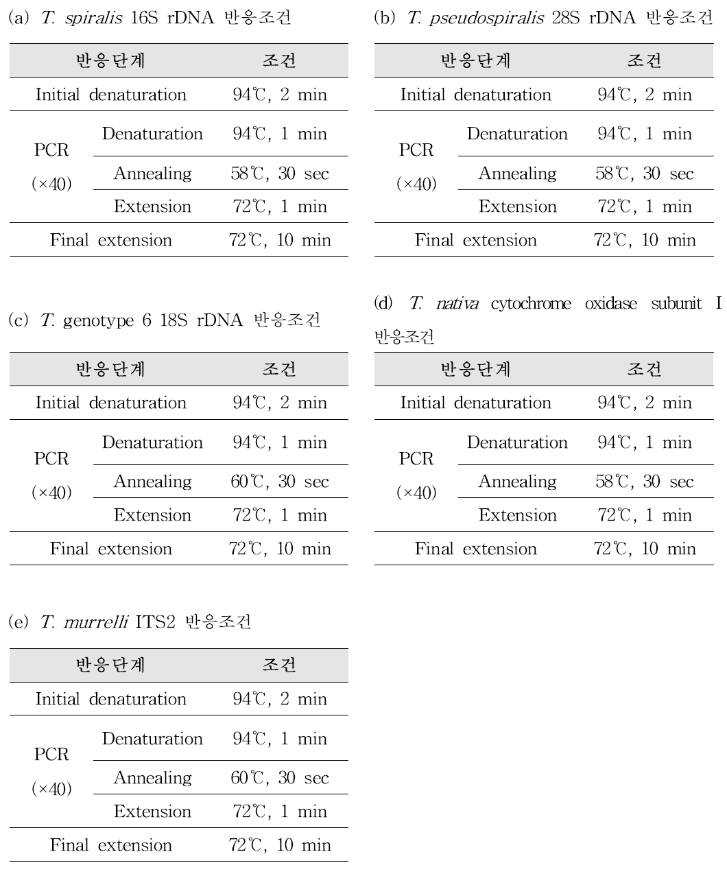 넙치에서 쿠도아충 검출을 위한 conventional PCR 반응조건