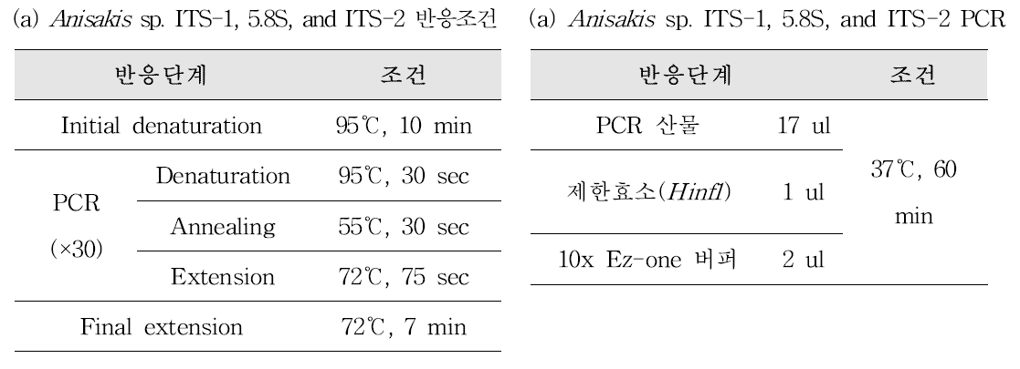 해양어류에서 고래회충류 유충 검출을 위한 conventional PCR 반응조건