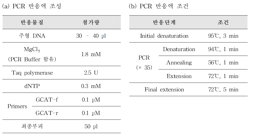 Aeromonas genus-specific PCR 반응액 조성(a) 및 PCR 반응 조건(b)