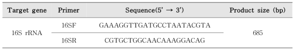 Aeromonas species-specific PCR 프라이머 염기서열